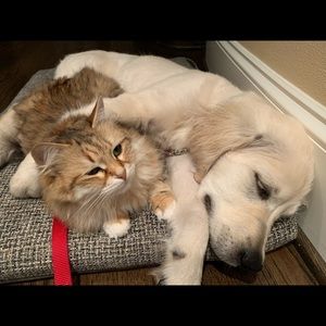 Meet your Posher, Anne